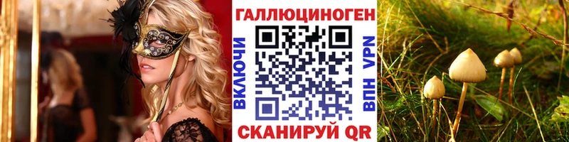 Псилоцибиновые грибы MAGIC MUSHROOMS  закладка  Ревда 