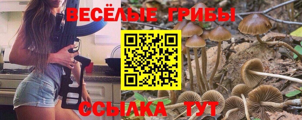 Ревда  Псилоцибиновые грибы GOLDEN TEACHER  Вход с VPN 