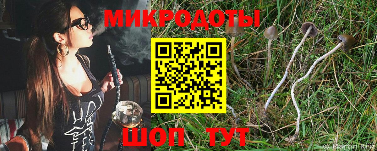 Галлюциногенные грибы мицелий Ревда